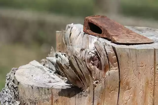 Free download tree stump axe ax rusty wood free picture to be edited with GIMP free online image editor