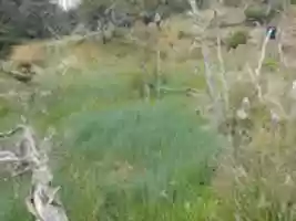 Free download Trekking on Gable Island free photo or picture to be edited with GIMP online image editor