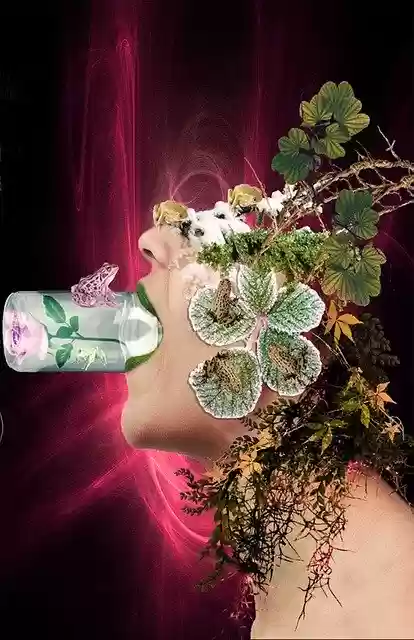 Free download Troll Woman Toad -  free illustration to be edited with GIMP free online image editor