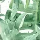 Tropical Breeze  screen for extension Chrome web store in OffiDocs Chromium