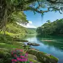 Tropical forest wallpaper  screen for extension Chrome web store in OffiDocs Chromium