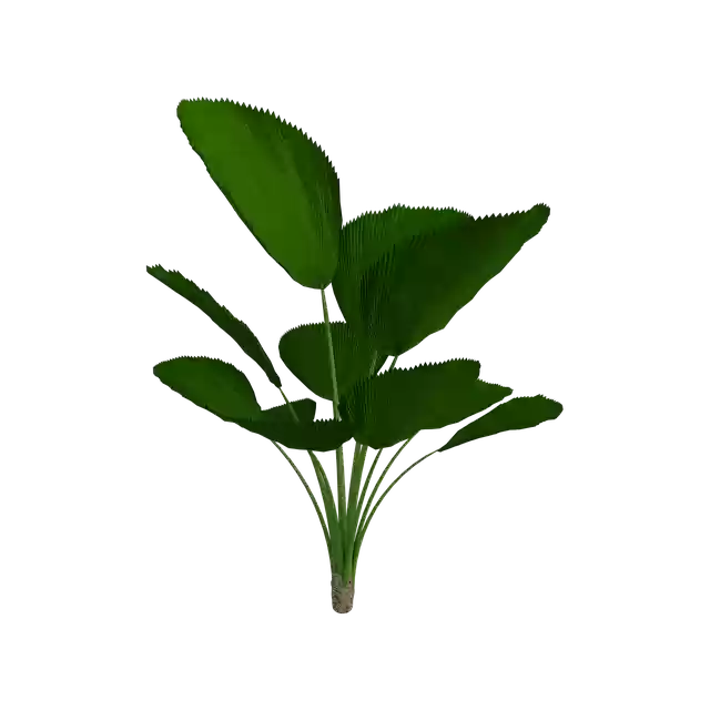 Download gratuito di Tropical Plant Green illustrazione gratuita da modificare con l'editor di immagini online di GIMP