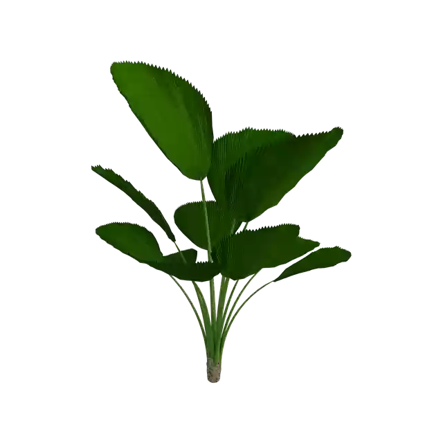 Бесплатно скачайте бесплатную иллюстрацию Tropical Plant Green для редактирования с помощью онлайн-редактора изображений GIMP