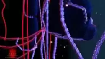 Free download TRTF - Wallpaper free photo or picture to be edited with GIMP online image editor