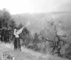 Free download Trumpeter Lightning Prodigy free photo or picture to be edited with GIMP online image editor