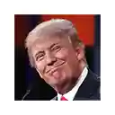 Trump Reactions  screen for extension Chrome web store in OffiDocs Chromium