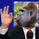 Trumps Out For Harambe  screen for extension Chrome web store in OffiDocs Chromium