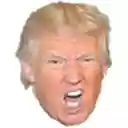 Trumpspeak by Justin Hook  screen for extension Chrome web store in OffiDocs Chromium