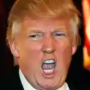 ຫນ້າຈໍ Trump To Primate ສໍາລັບສ່ວນຂະຫຍາຍຮ້ານເວັບ Chrome ໃນ OffiDocs Chromium