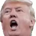 Trump to Shitbags  screen for extension Chrome web store in OffiDocs Chromium