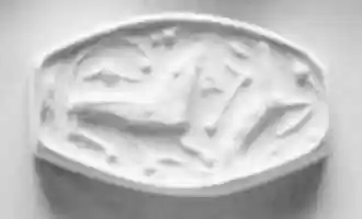 Free download Truncated amygdaloid (rhomboid ?) seal free photo or picture to be edited with GIMP online image editor