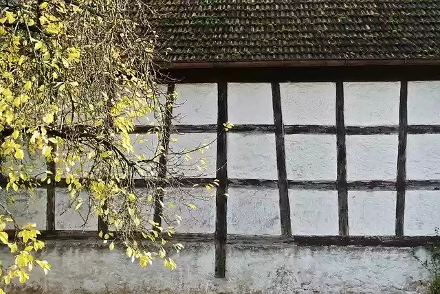 Free download Truss Tree Old -  free photo or picture to be edited with GIMP online image editor