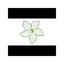 TryJasmine Widescreen  screen for extension Chrome web store in OffiDocs Chromium