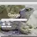Tuatara  screen for extension Chrome web store in OffiDocs Chromium