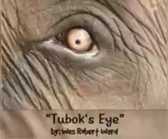 Free download Tuboks Eye free photo or picture to be edited with GIMP online image editor
