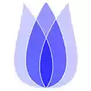 TULIP Academy Desktop Streamer  screen for extension Chrome web store in OffiDocs Chromium