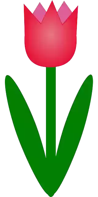 Free download Tulip Flower Leaves - Free vector graphic on Pixabay free illustration to be edited with GIMP free online image editor