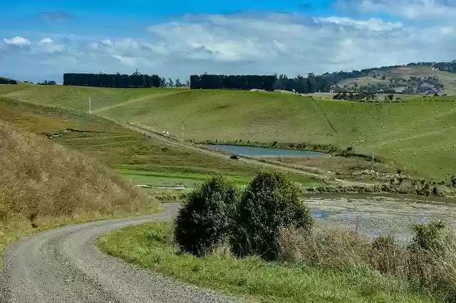 Free download Tumai Beach New Zealand Otago -  free photo or picture to be edited with GIMP online image editor