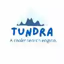 Tundra Search  screen for extension Chrome web store in OffiDocs Chromium