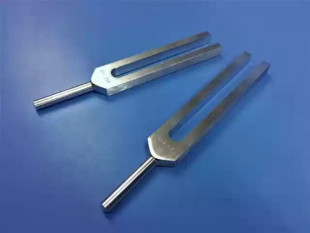 Free download tuning fork 432hz harmony of nature free picture to be edited with GIMP free online image editor