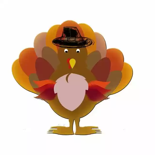 Free download Turkey Thanksgiving Cartoon -  free illustration to be edited with GIMP free online image editor