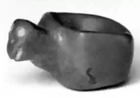 Free download Turtle Bowl free photo or picture to be edited with GIMP online image editor