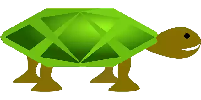 Free download Turtle Green Animal - Free vector graphic on Pixabay free illustration to be edited with GIMP free online image editor
