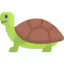 Turtle Needs  screen for extension Chrome web store in OffiDocs Chromium