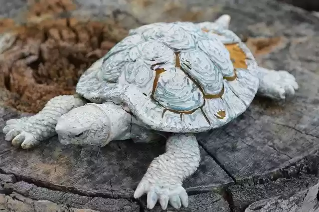 Free download Turtle Statue Garden -  free photo or picture to be edited with GIMP online image editor