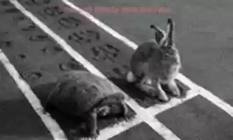 GIMP çevrimiçi resim düzenleyiciyle düzenlenecek ücretsiz Kaplumbağa vs Tavşan ücretsiz fotoğraf veya resmini indirin