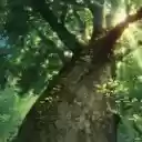 Twee  screen for extension Chrome web store in OffiDocs Chromium