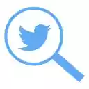 TweetFinder  screen for extension Chrome web store in OffiDocs Chromium