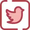 Tweets2PDF Convert All Tweets to One PDF/EPUB  screen for extension Chrome web store in OffiDocs Chromium