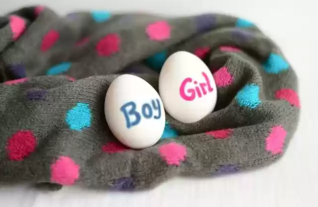 Free download Twins Birth Boy -  free photo or picture to be edited with GIMP online image editor