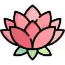 Twin Water Lilies  screen for extension Chrome web store in OffiDocs Chromium