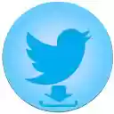 Twitter Gif  Video Downloader  screen for extension Chrome web store in OffiDocs Chromium