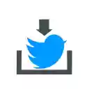 Twitter Image Downloader  screen for extension Chrome web store in OffiDocs Chromium