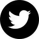 Schermata Stili di stampa Twitter per l'estensione Negozio web Chrome in OffiDocs Chromium