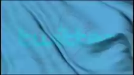 Free download Twitter Social Media Network -  free video to be edited with OpenShot online video editor