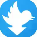 Twitter™ Video Downloader Plus  screen for extension Chrome web store in OffiDocs Chromium