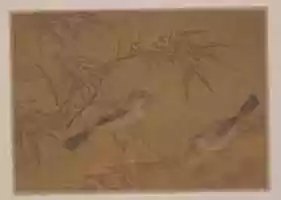 دانلود رایگان عکس یا تصویر Two Birds and Bamboo Plant برای ویرایش با ویرایشگر تصویر آنلاین GIMP