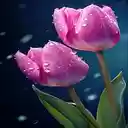 Two pink tulips Wallpaper  screen for extension Chrome web store in OffiDocs Chromium