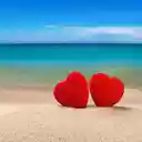 Two red hearts Wallpaper  screen for extension Chrome web store in OffiDocs Chromium