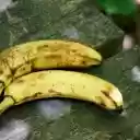 Two yellow spotted bananas  screen for extension Chrome web store in OffiDocs Chromium