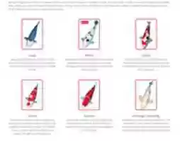 Free download Types Of Koi free photo or picture to be edited with GIMP online image editor