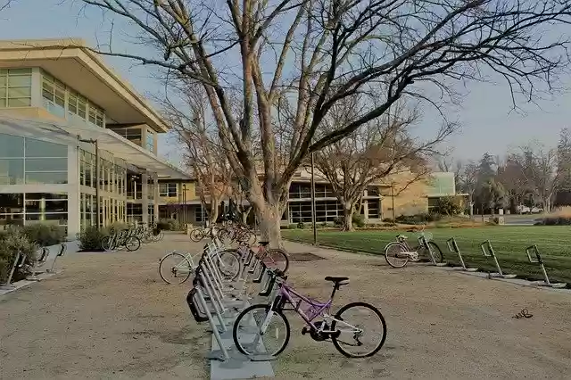 Free download Uc Davis Bikes Campus -  free photo or picture to be edited with GIMP online image editor