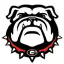 UGA Dawg Theme  screen for extension Chrome web store in OffiDocs Chromium