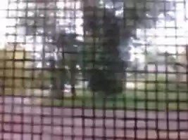 Free download ulc-Dproof ( 4) free photo or picture to be edited with GIMP online image editor