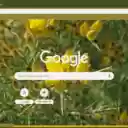 Ulex  screen for extension Chrome web store in OffiDocs Chromium