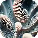 undersea reef teeming with multi colored fish  screen for extension Chrome web store in OffiDocs Chromium